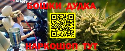 стаф Новозыбков