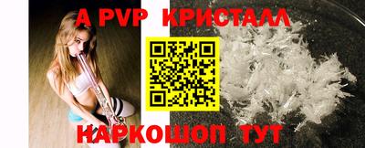 стаф Новозыбков