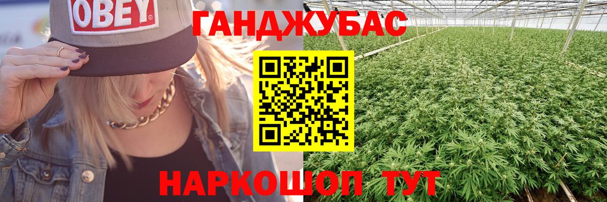 Бошки Шишки семена  Канабис план  Сунжа  Вход с VPN  Конопля гибрид  Каннабис White Widow 